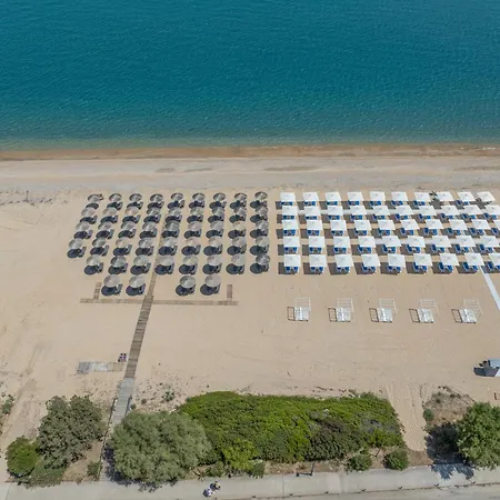 Anassa
